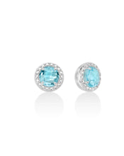 Carica l'immagine nel visualizzatore di Gallery, Orecchini in argento 925 ERD2546/80 Miluna