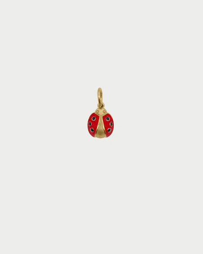 Charm COCCINELLA