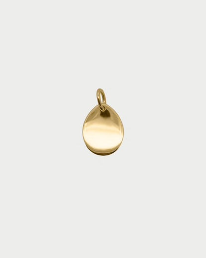 Charm MEDAGLIA DROP (+varianti)